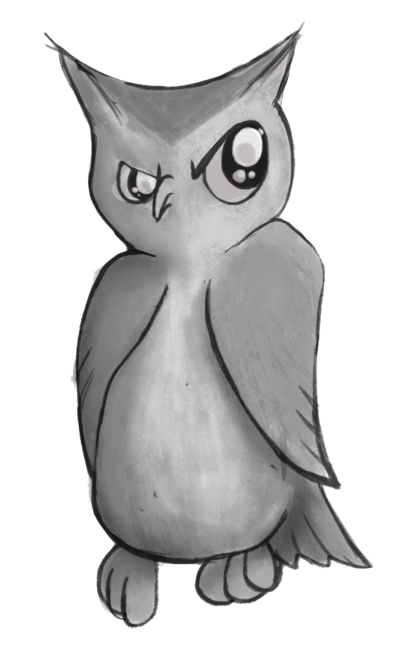 A suspicious owl