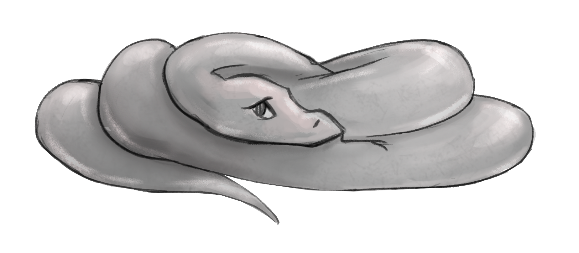 A shy snake