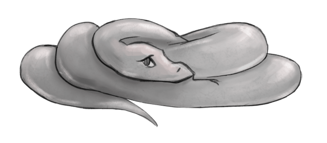 A shy snake