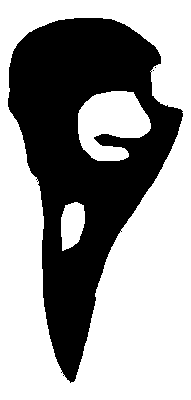 Black and white image of a crow skull