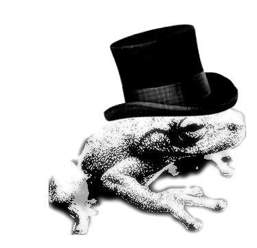 Small tree frog wearing a top hat