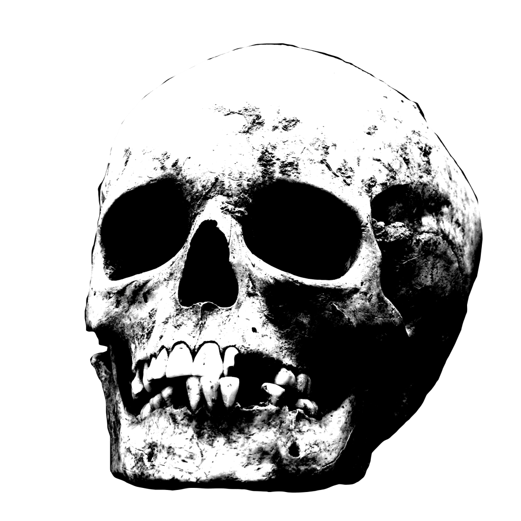 black and white skull